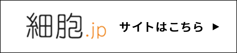 細胞.jpサイトへ